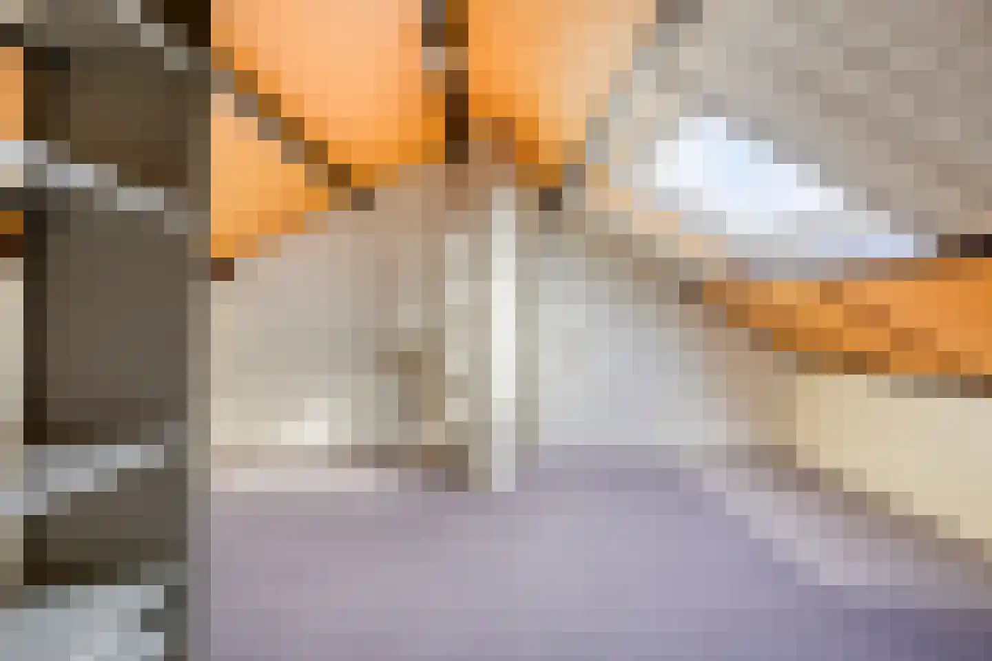 Treubstraat 29 Assen thumbnail 39