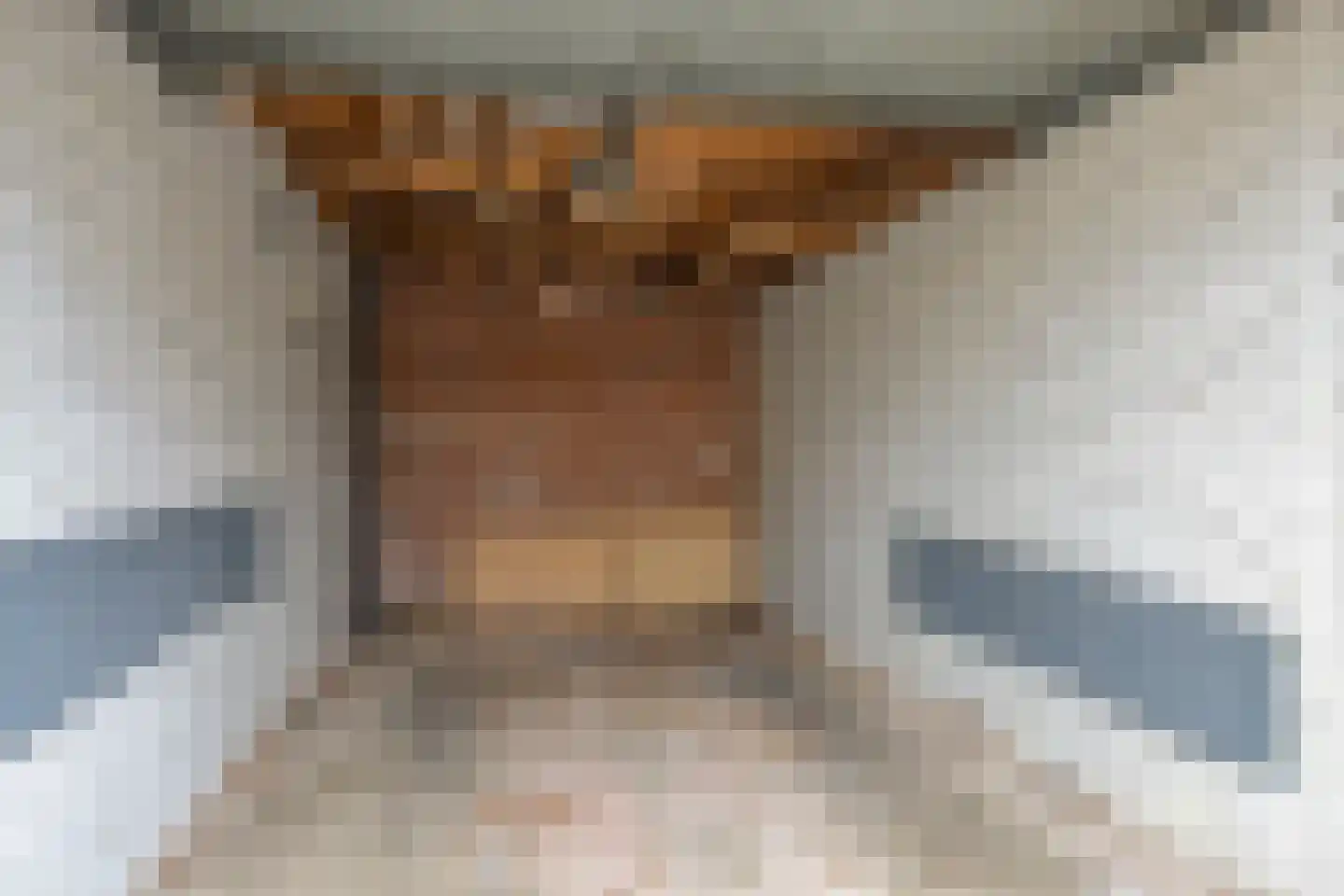 Treubstraat 29 Assen thumbnail 44