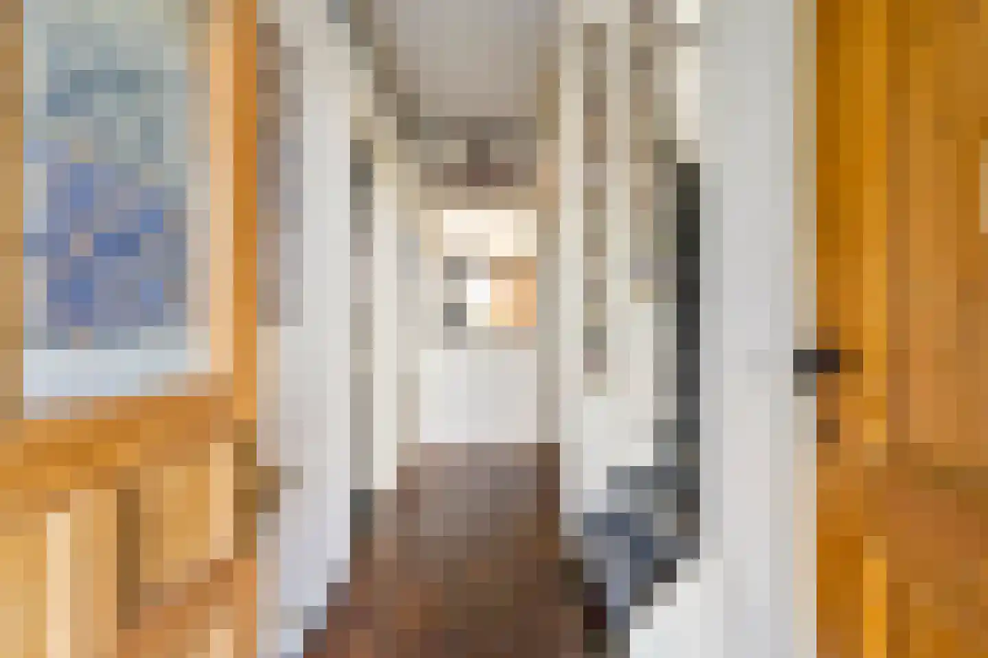 Treubstraat 29 Assen thumbnail 5