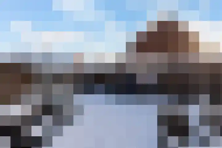 Treubstraat 3 Alblasserdam thumbnail 31
