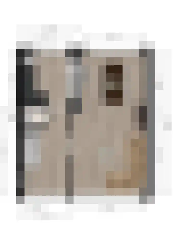 Treubstraat 3 Alblasserdam thumbnail 37