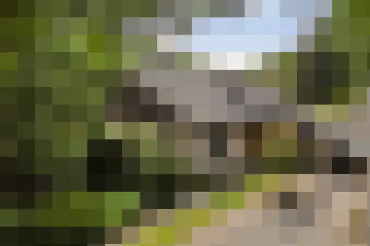 Treubstraat 39 Nunspeet thumbnail 23