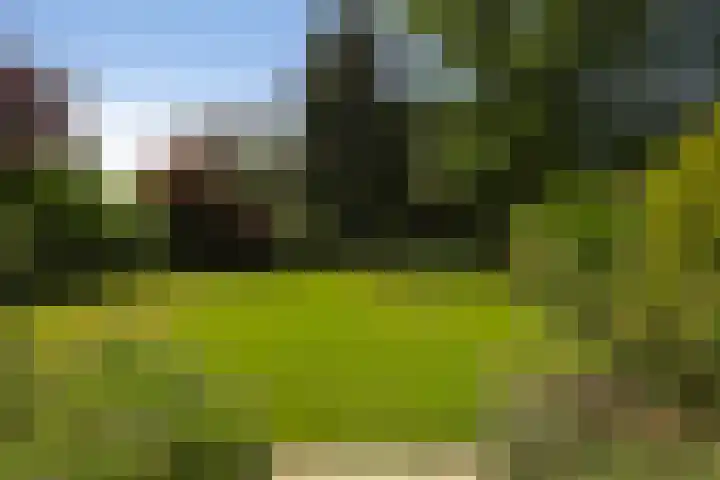 Treubstraat 39 Nunspeet thumbnail 24