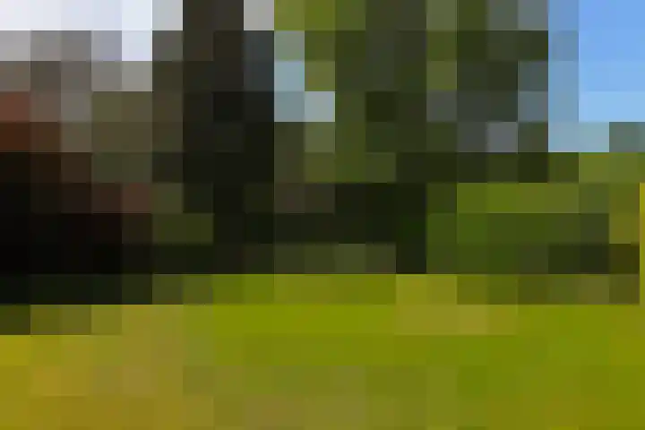 Treubstraat 39 Nunspeet thumbnail 25