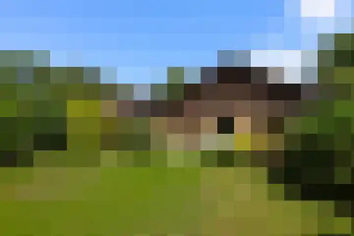 Treubstraat 39 Nunspeet thumbnail 26