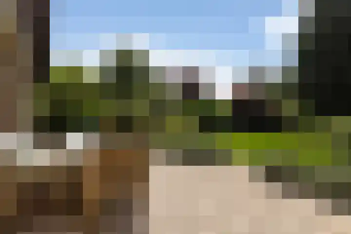 Treubstraat 39 Nunspeet thumbnail 27