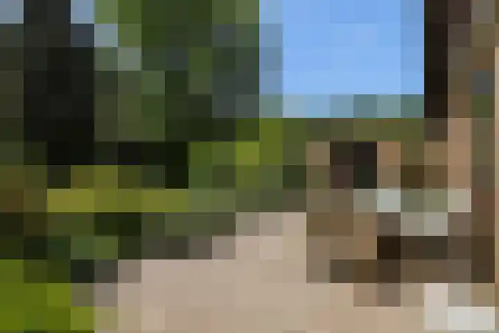 Treubstraat 39 Nunspeet thumbnail 28