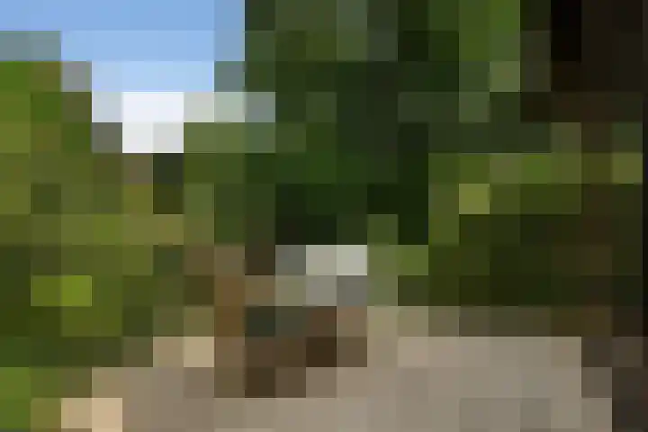 Treubstraat 39 Nunspeet thumbnail 29