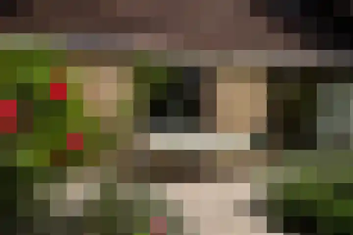 Treubstraat 39 Nunspeet thumbnail 30