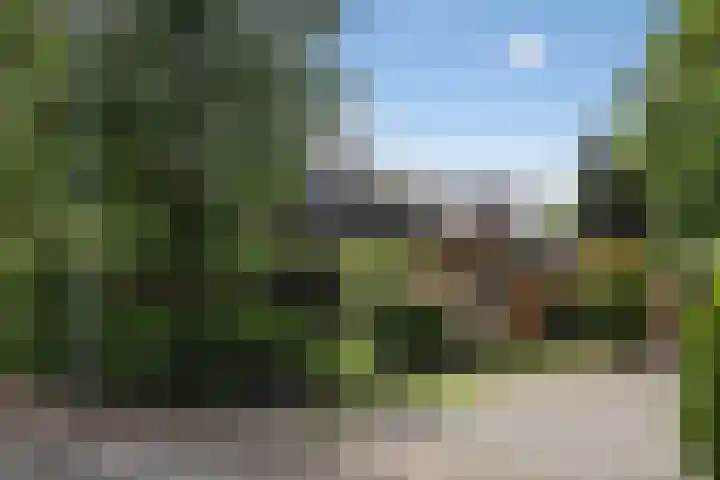 Treubstraat 39 Nunspeet thumbnail 31
