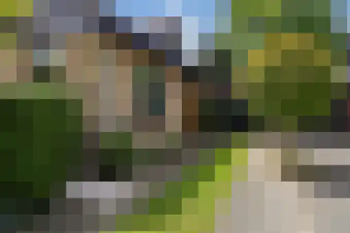 Treubstraat 39 Nunspeet thumbnail 32