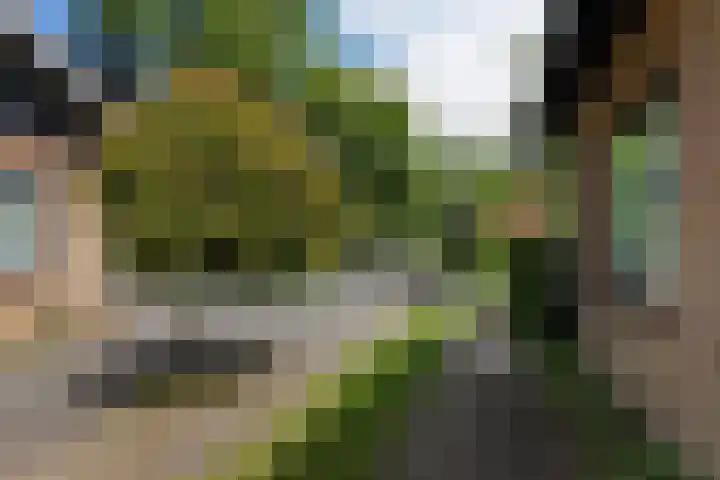 Treubstraat 39 Nunspeet thumbnail 33