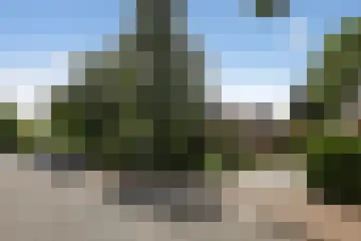 Treubstraat 39 Nunspeet thumbnail 34