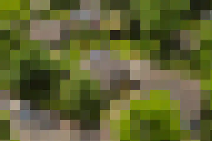 Treubstraat 39 Nunspeet thumbnail 35