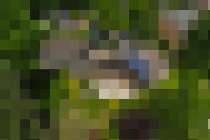 Treubstraat 39 Nunspeet thumbnail 36
