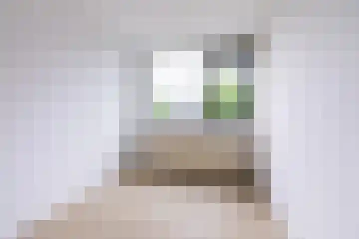 Treubstraat 66 Dieren thumbnail 24