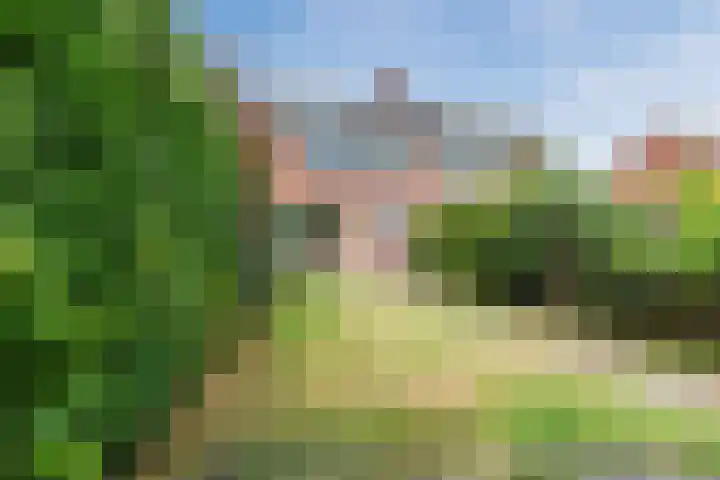 Treubstraat 66 Dieren thumbnail 39