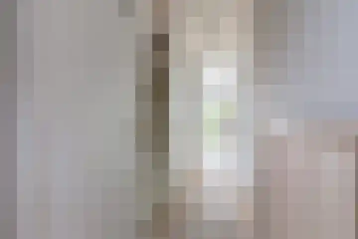 Treubstraat 66 Dieren thumbnail 4