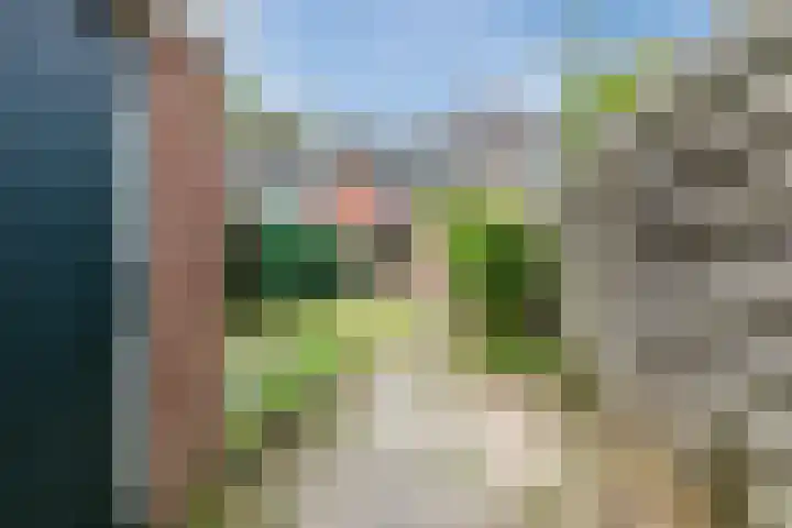 Treubstraat 66 Dieren thumbnail 42