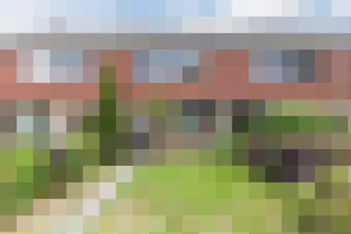 Treubstraat 66 Dieren thumbnail 47