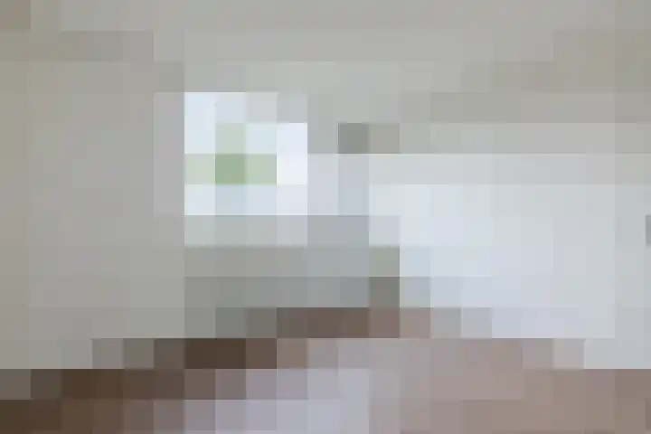 Treubstraat 76 Dieren thumbnail 21