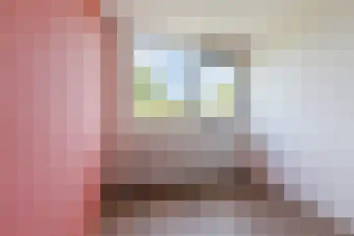 Treubstraat 76 Dieren thumbnail 25
