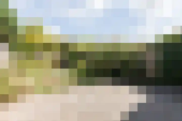 Treubstraat 76 Dieren thumbnail 39
