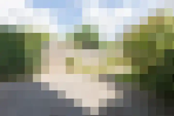Treubstraat 76 Dieren thumbnail 40