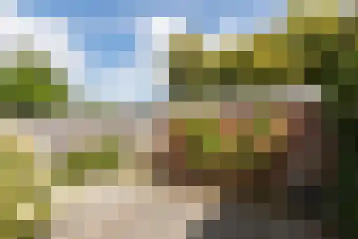 Treubstraat 76 Dieren thumbnail 42