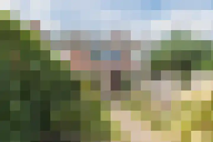Treubstraat 76 Dieren thumbnail 43