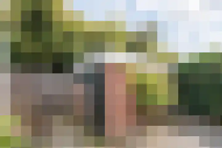 Treubstraat 76 Dieren thumbnail 44