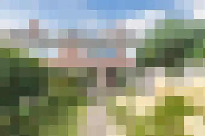 Treubstraat 76 Dieren thumbnail 45