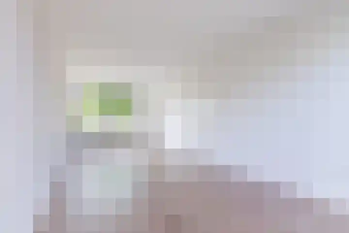 Treubstraat 76 Dieren thumbnail 6