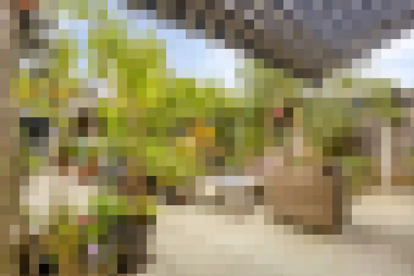 Treubstraat 96 Nijmegen thumbnail 22
