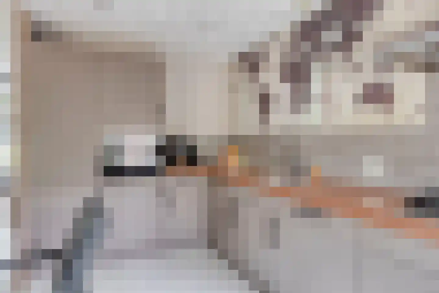 Treubstraat 96 Nijmegen thumbnail 9