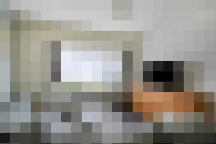 Treurenberg 8 Veldhoven thumbnail 15