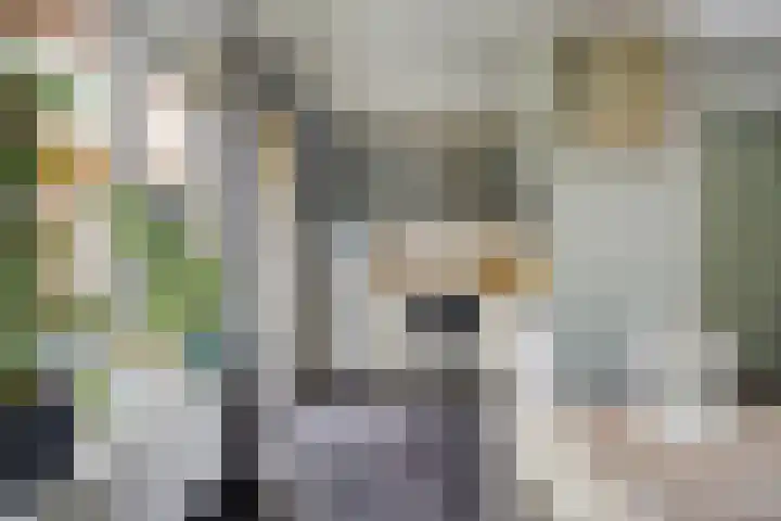 Treurenberg 8 Veldhoven thumbnail 19