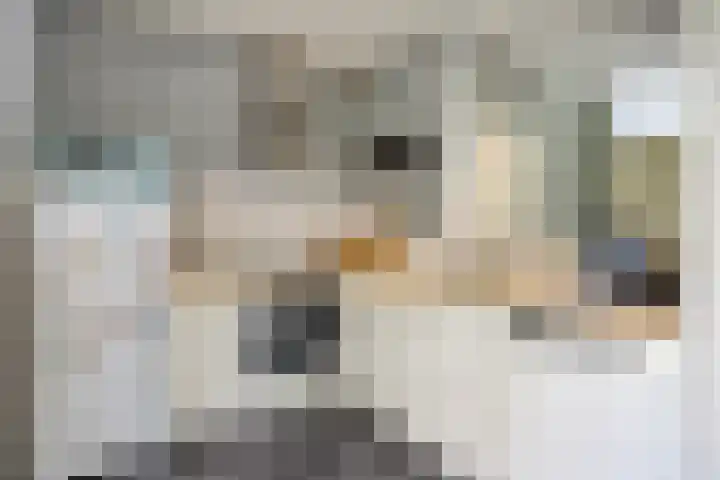 Treurenberg 8 Veldhoven thumbnail 20