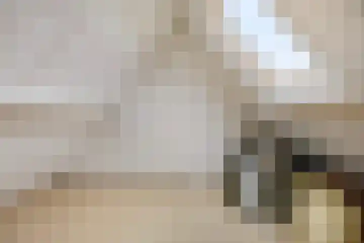 Treurenberg 8 Veldhoven thumbnail 37