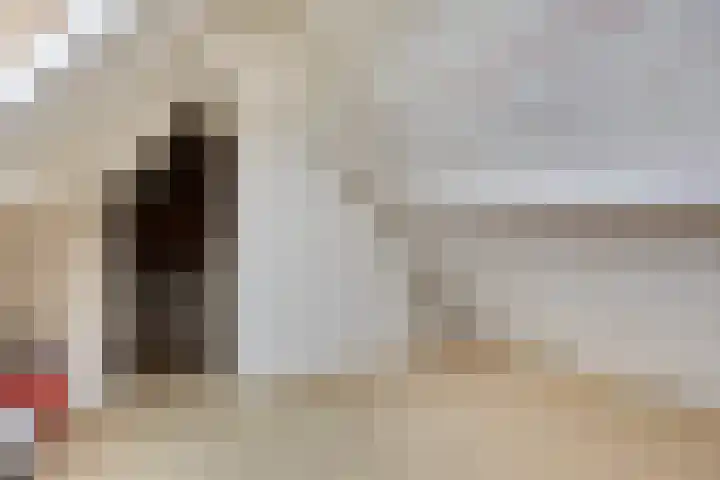 Treurenberg 8 Veldhoven thumbnail 38