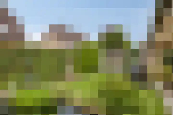 Treurenberg 8 Veldhoven thumbnail 41
