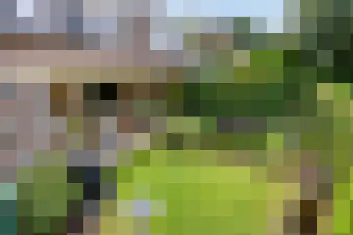 Treurenberg 8 Veldhoven thumbnail 44
