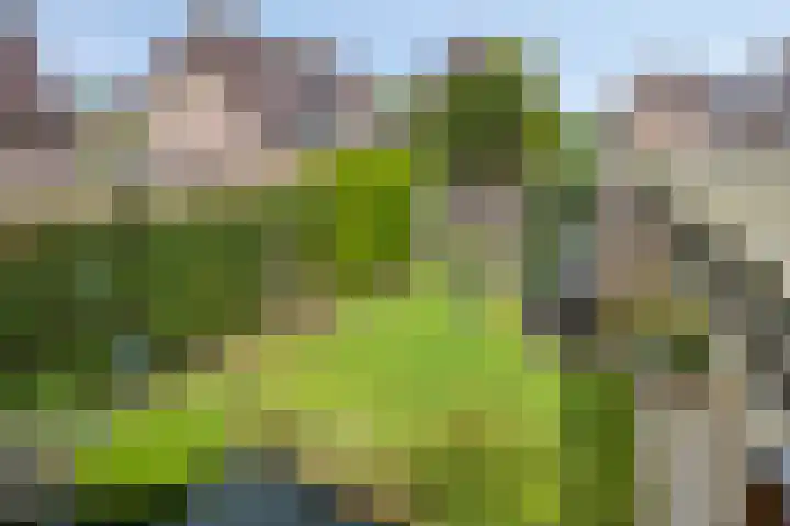 Treurenberg 8 Veldhoven thumbnail 45