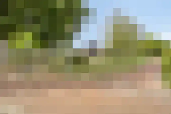Treurenberg 8 Veldhoven thumbnail 46
