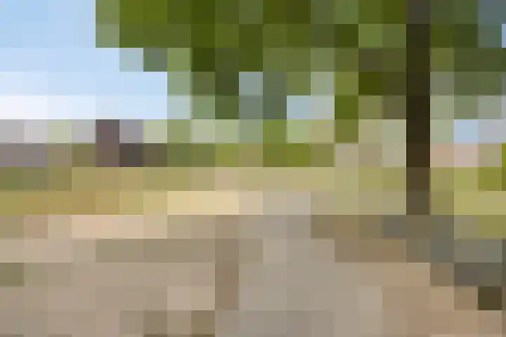 Treurenberg 8 Veldhoven thumbnail 47