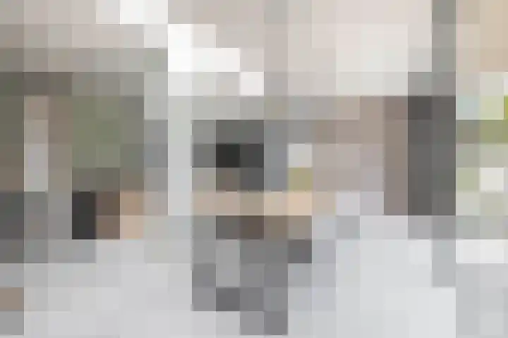 Treurenburgstraat 1 Eindhoven thumbnail 20