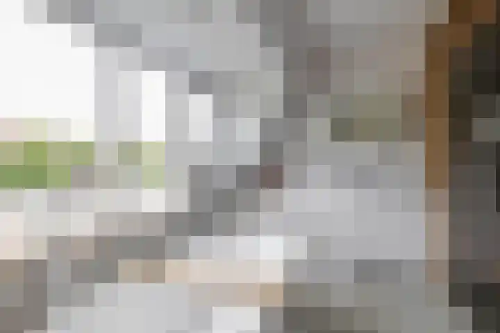 Treurenburgstraat 1 Eindhoven thumbnail 35