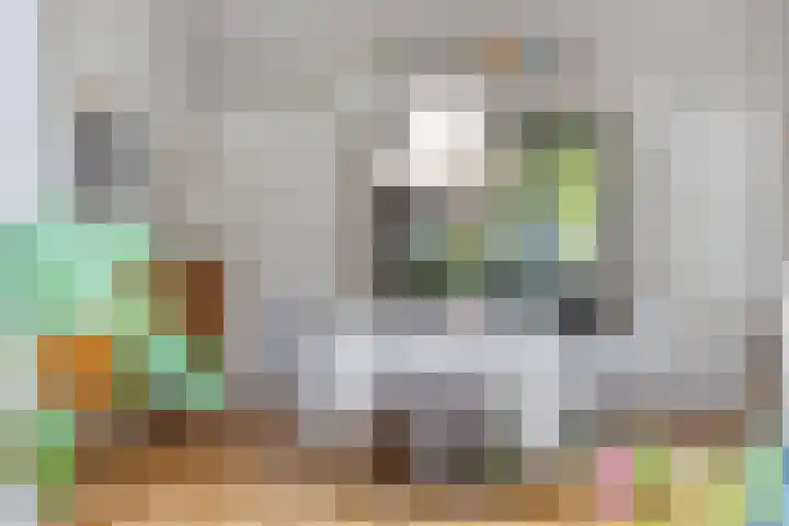Treurenburgstraat 11 Eindhoven thumbnail 14