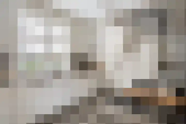 Treurenburgstraat 11 Eindhoven thumbnail 19
