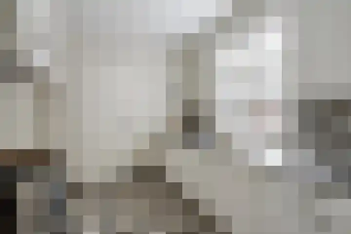 Treurenburgstraat 11 Eindhoven thumbnail 20